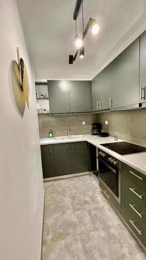 Gorgeous Renovated Apt. Close To Metro And Cultural Sites! Атина Екстериор снимка